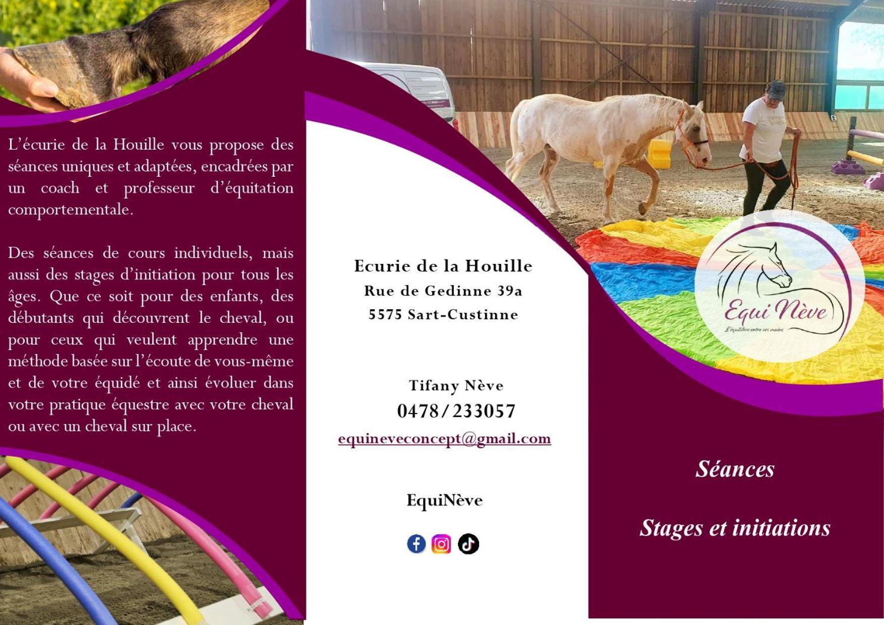 Le Relais De La Houille Villa Sart-Custinne Екстериор снимка